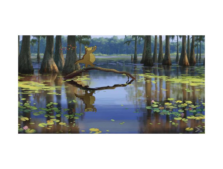 Küss den Frosch (DVD) 