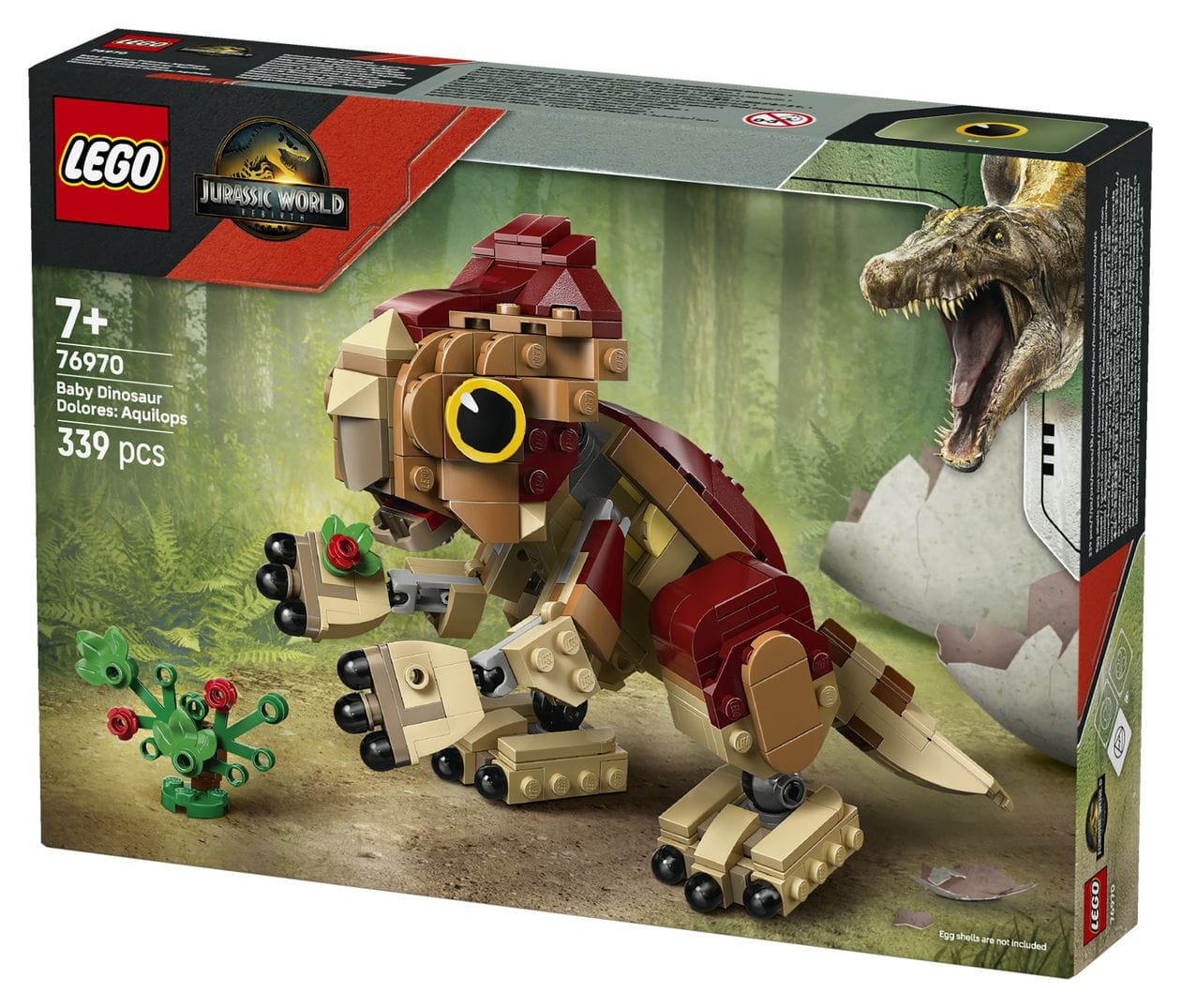Babydinosaurier Dolores: Aquilops 