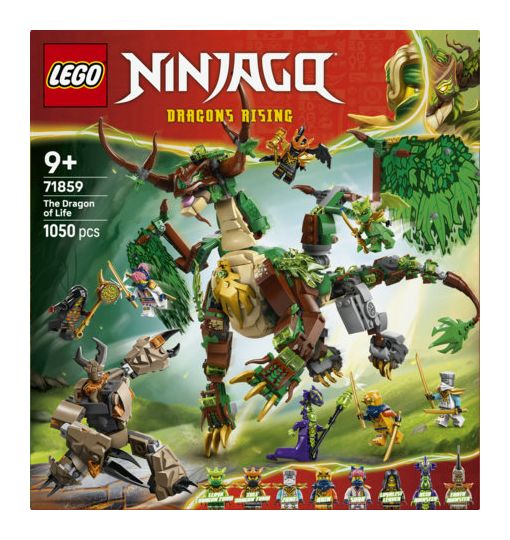 Der Drache des Lebens 