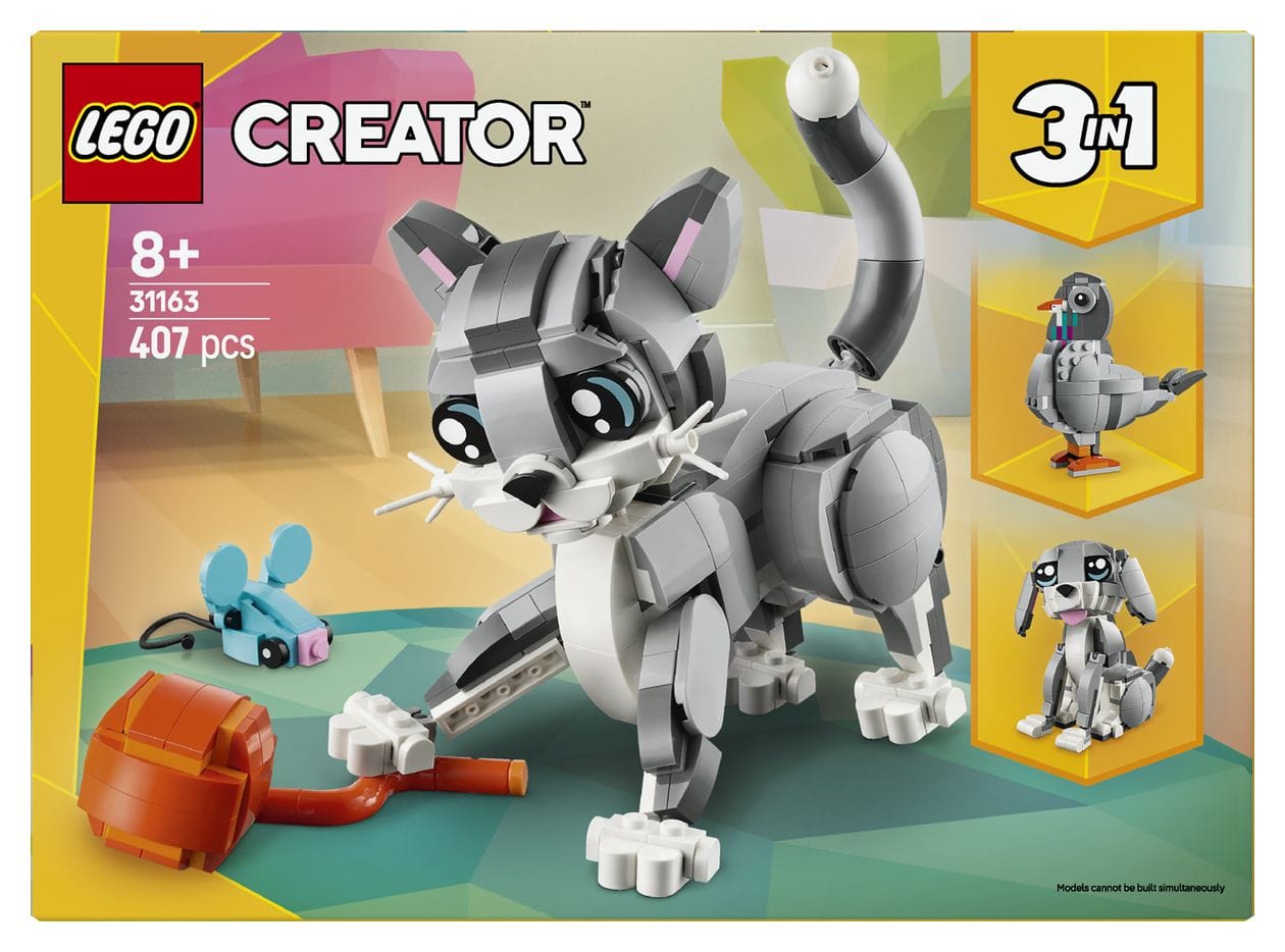 Graue Katze 