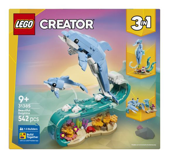 Meerestiere: Wunderschöne Delfine 