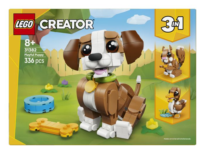 Niedliche Tiere: Verspielter Welpe 