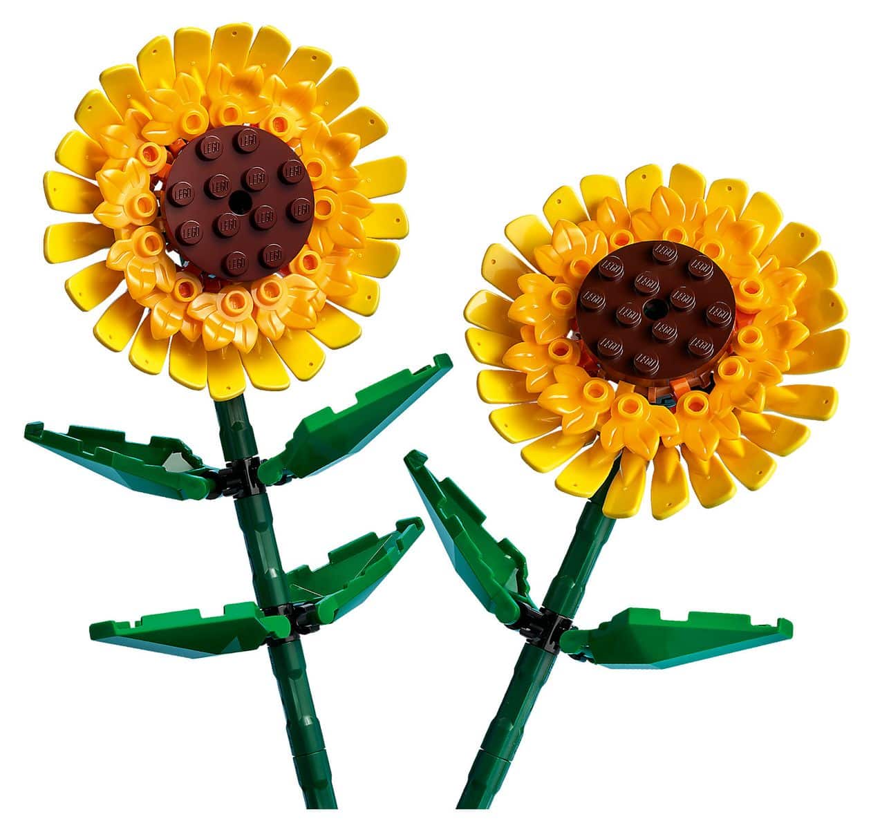 Sonnenblumen 