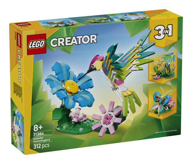 Wilde Tiere: Bunter Kolibri 