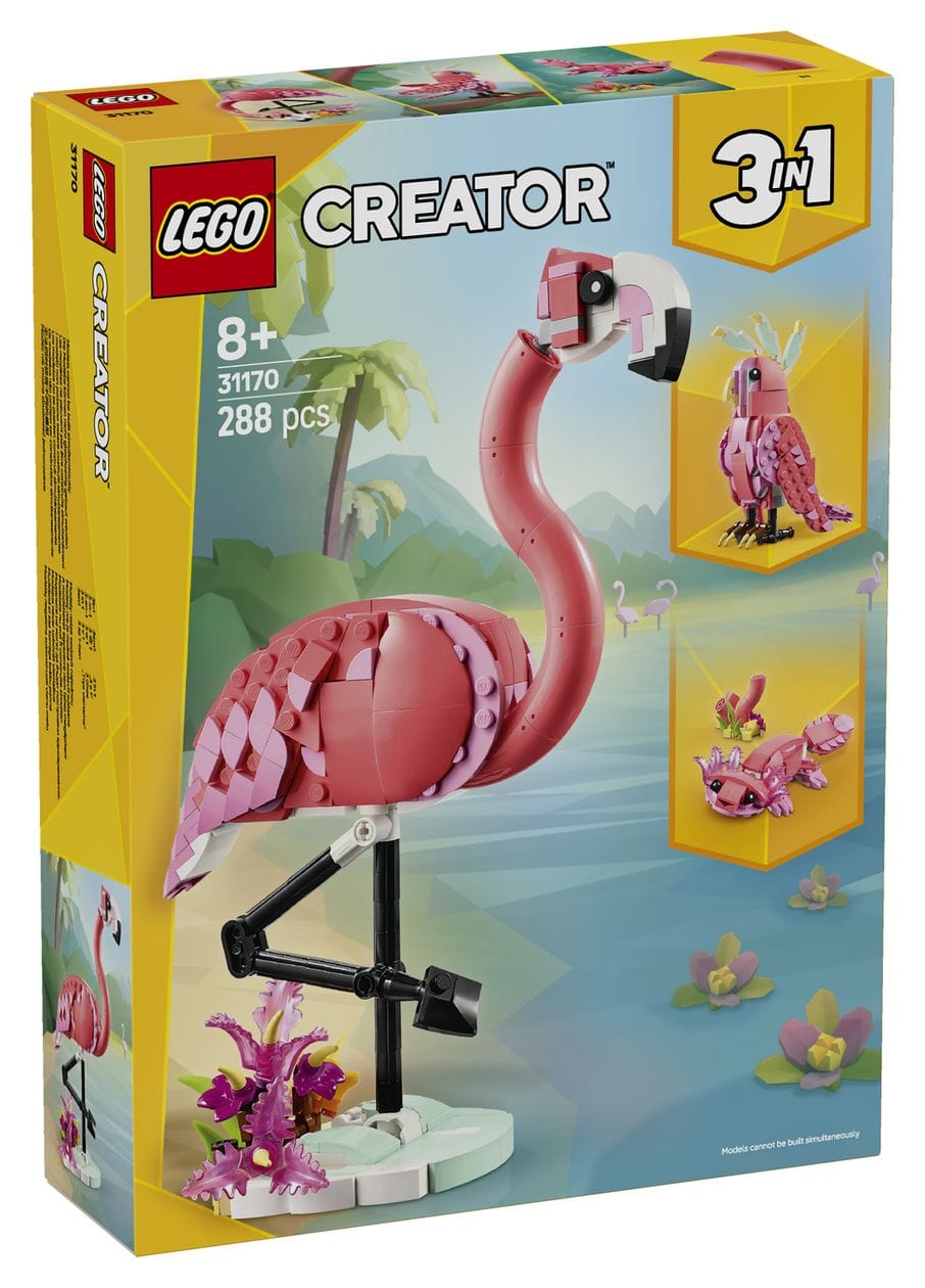 Wilde Tiere: Rosa Flamingo 