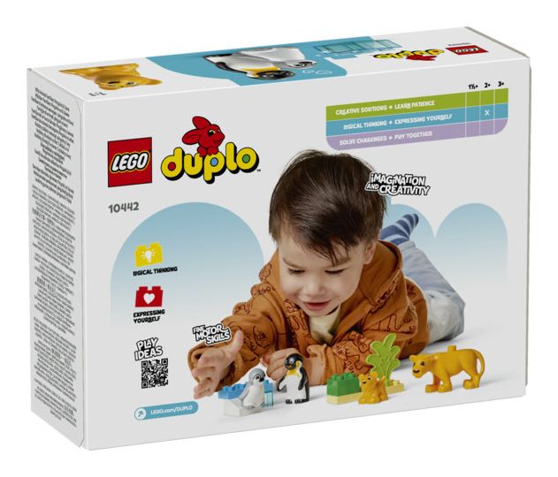 Wildtier-Familien: Pinguine und Löwen 