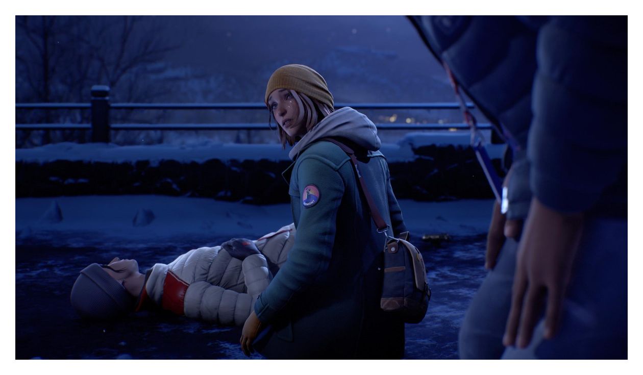Life is Strange: Double Exposure (Nintendo Switch) 
