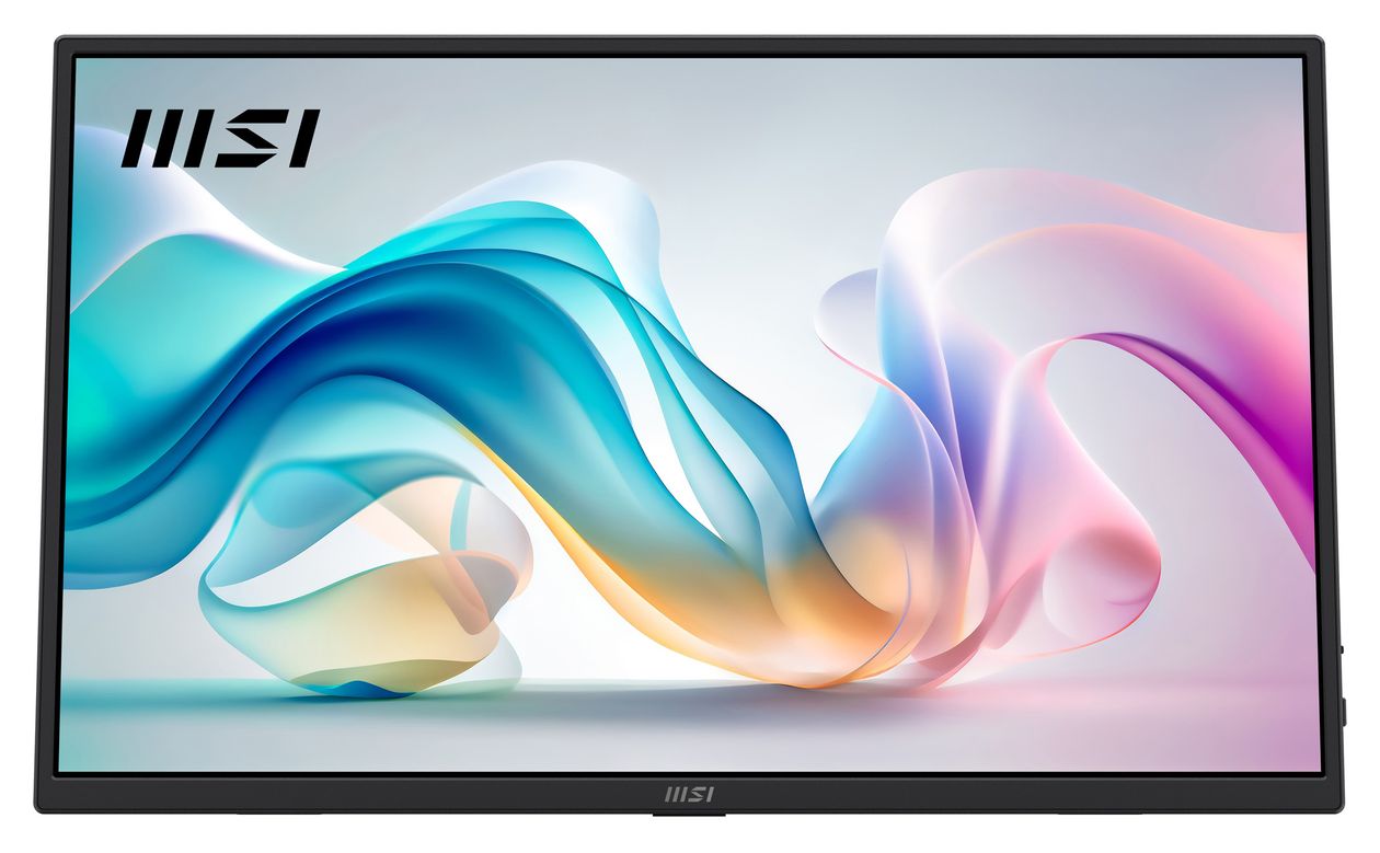 Pro MP165DE E6 Full HD Monitor 39,6 cm (15.6 Zoll) 16:9 4 ms  (Schwarz) 