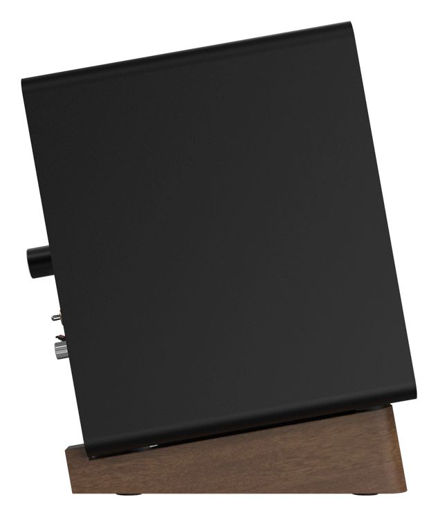 GX-10DB 30 W Bluetooth Lautsprecher  (Schwarz) 