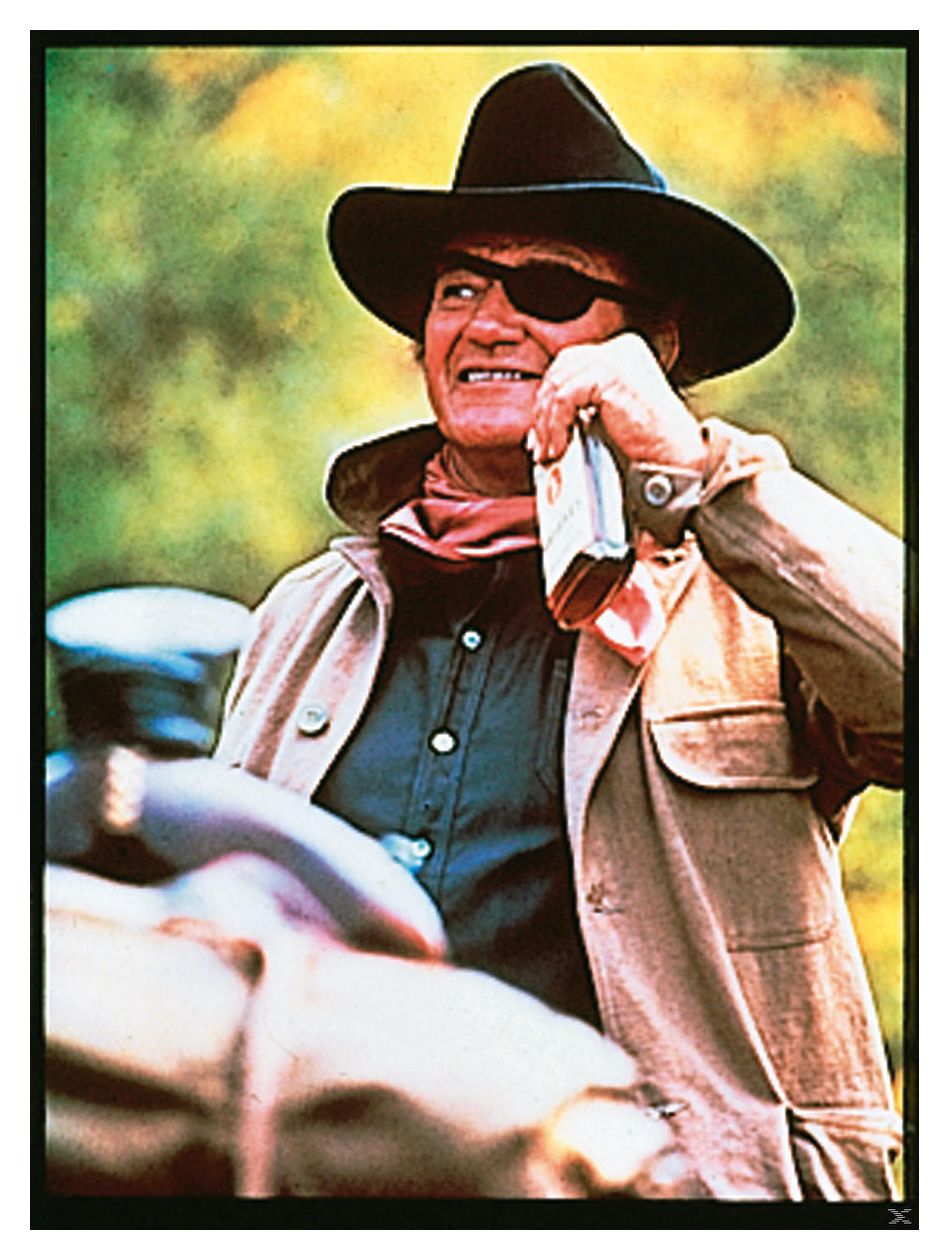 Rio Lobo, True Grit - Der Marshal, Man nennt mich Hondo (DVD) 