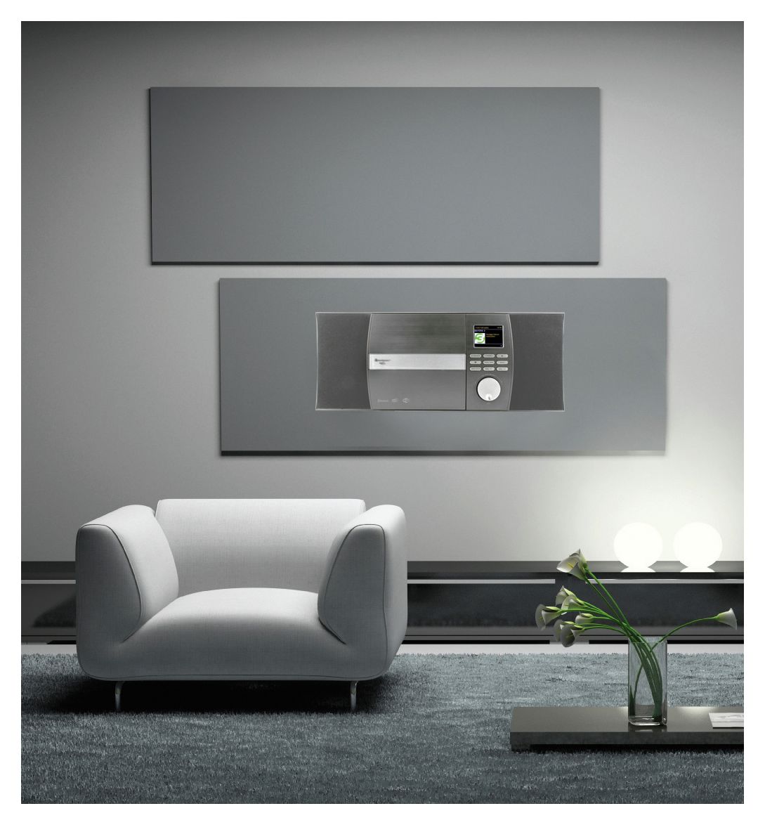 ICD1010AN FM Radio  (Grau) 