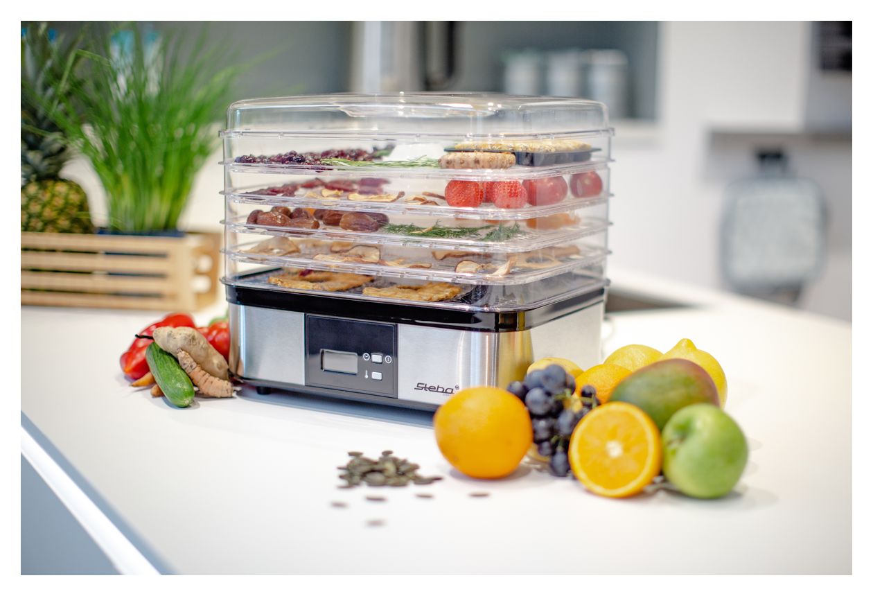 ED5 Dörrautomat 350 W 36 h Maximale Timer-Zeit 5 Dörrgitter 