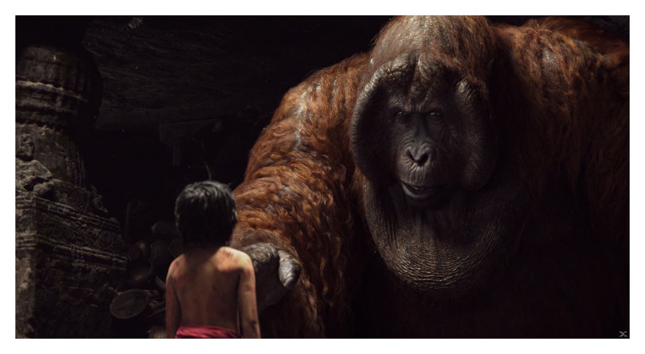The Jungle Book (DVD) 