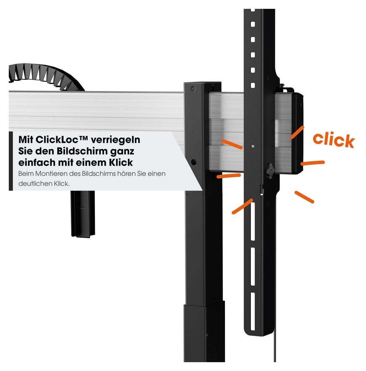 RISE 2005B Motorisierter Display-Boden-Wand-Lift 