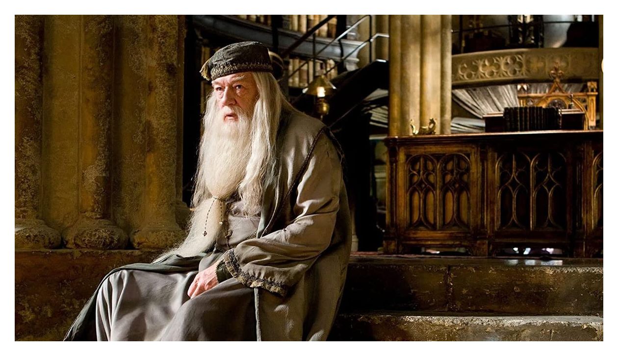 Wizarding World 11-Film Collection (Blu-Ray) 