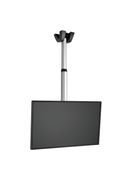 Thumbnail1