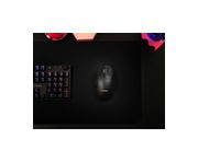 Thumbnail10