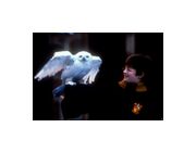 Thumbnail11