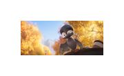 Thumbnail11