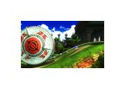 Thumbnail11