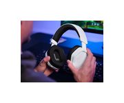 Thumbnail11