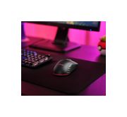 Thumbnail11