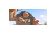 Thumbnail11