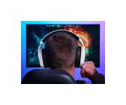 Thumbnail12