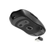 Thumbnail2