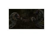 Thumbnail3