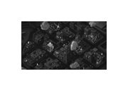 Thumbnail3