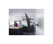 Thumbnail4