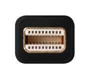 Thumbnail4