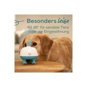 Thumbnail5