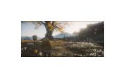Thumbnail5