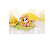 Thumbnail5