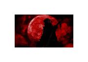 Thumbnail6