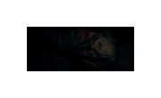 Thumbnail6