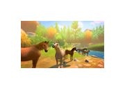 Thumbnail6