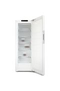 Thumbnail6