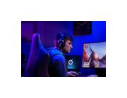 Thumbnail6