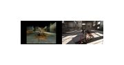 Thumbnail6