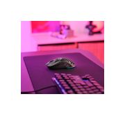 Thumbnail6