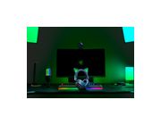 Thumbnail7