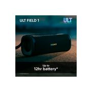 Thumbnail7