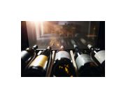 Thumbnail9
