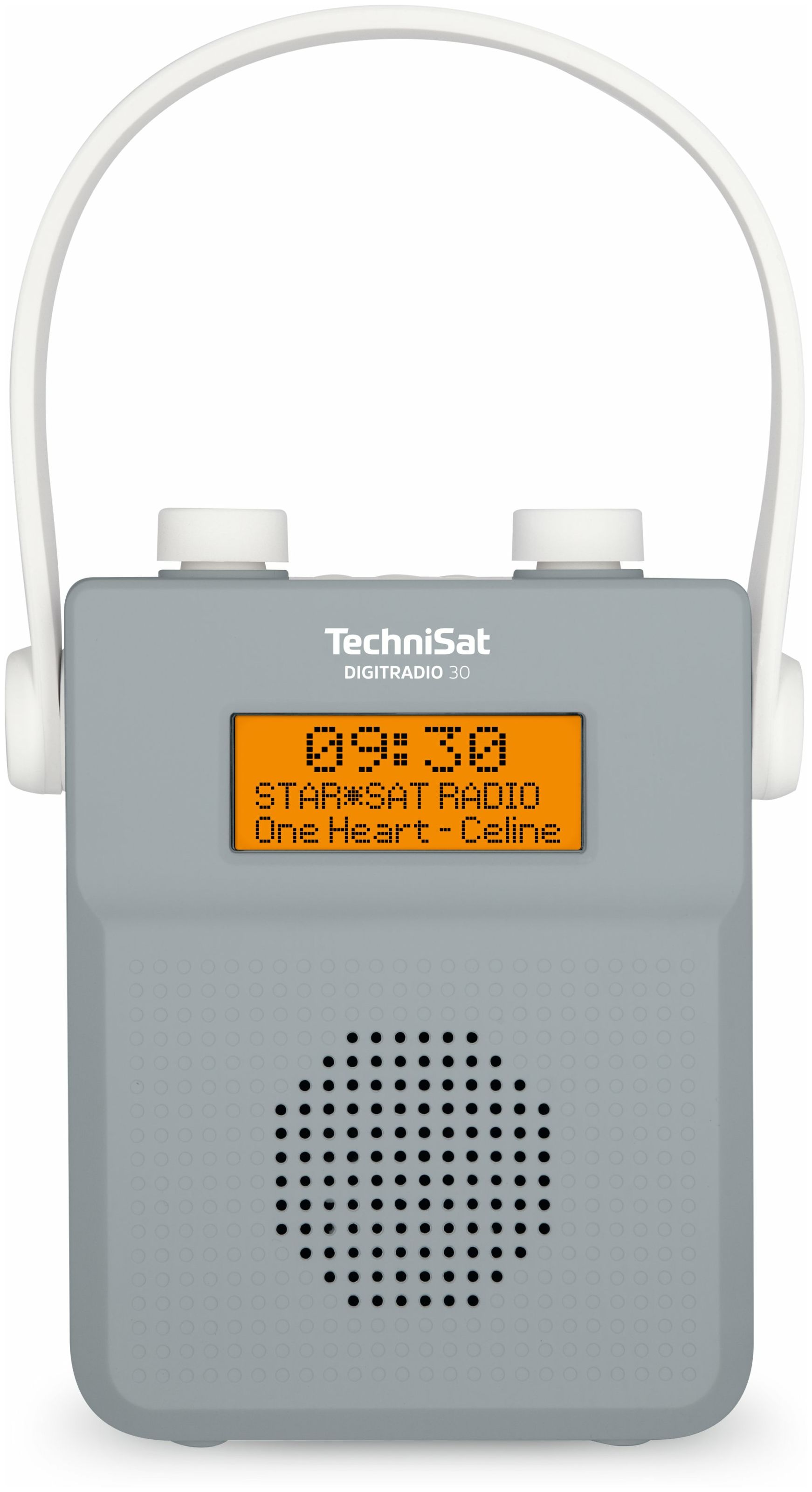TechniSat Digitradio 30 Bluetooth von Tragbar FM Technomarkt DAB+, (Grau) expert IPX5 Radio