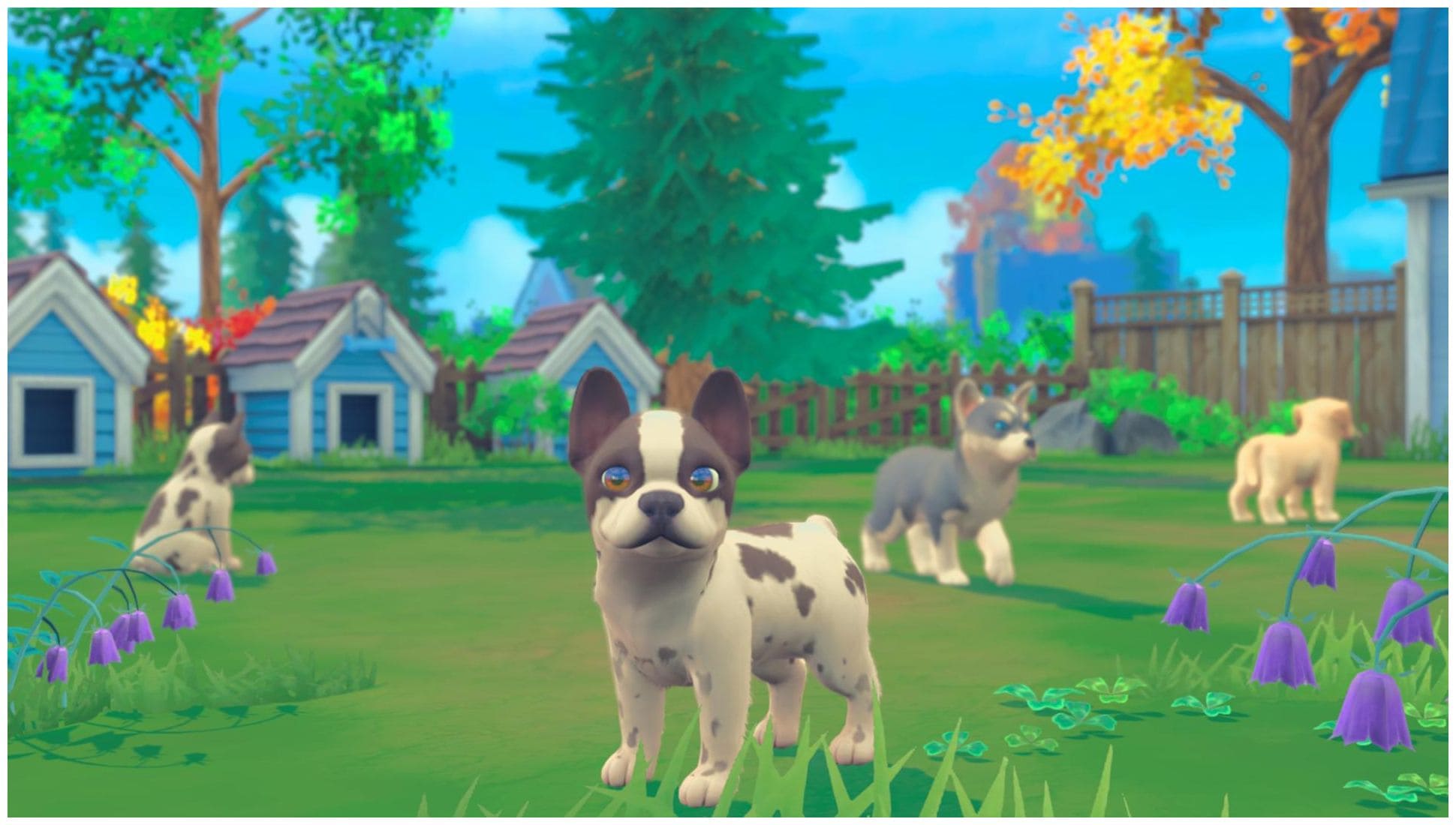GAME My Universe: Hunde- und Katzenbabys (Nintendo Switch) von expert  Technomarkt