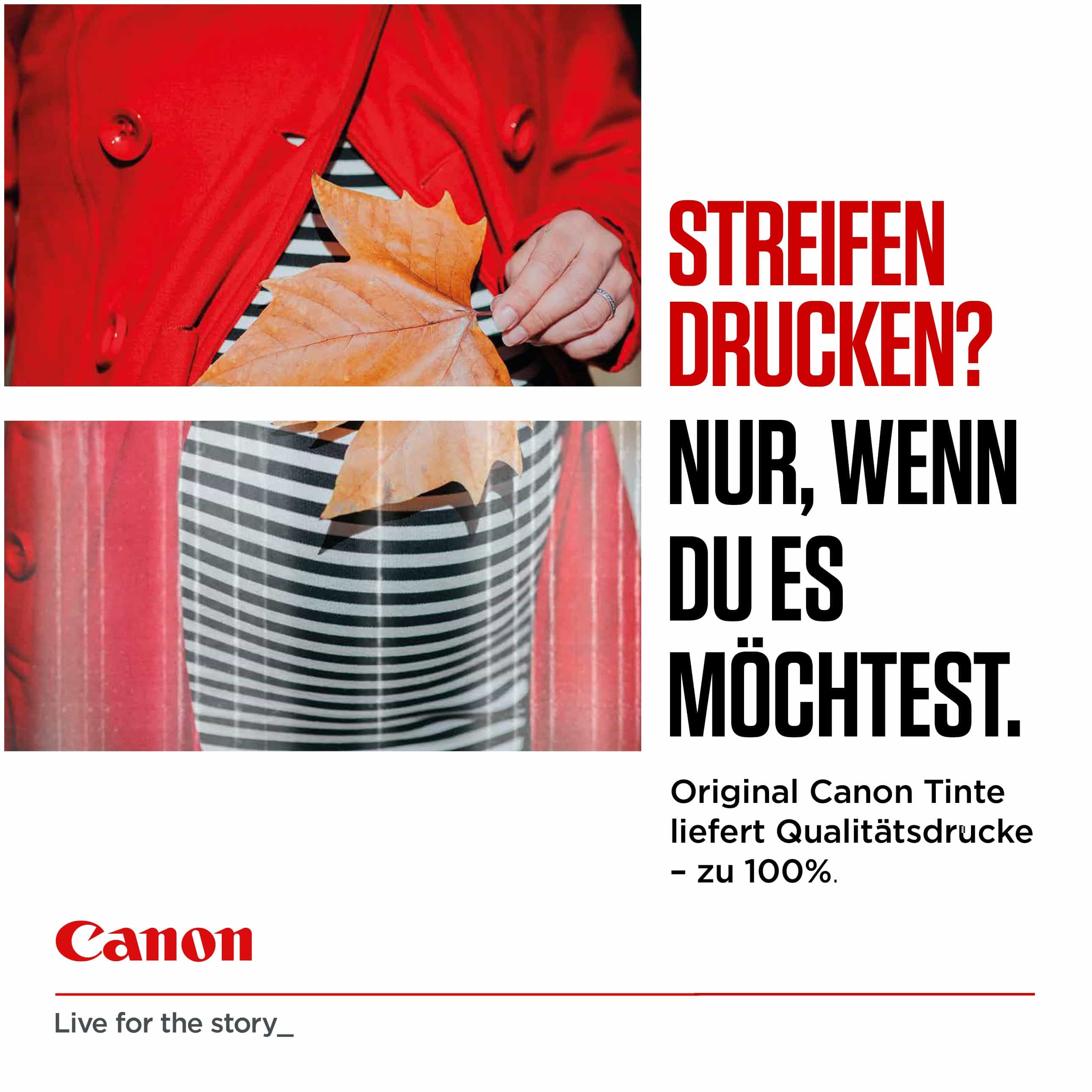 Canon CLI-551 originale Druckerpatronen Schwarz, Cyan, expert Magenta, Gelb Technomarkt von