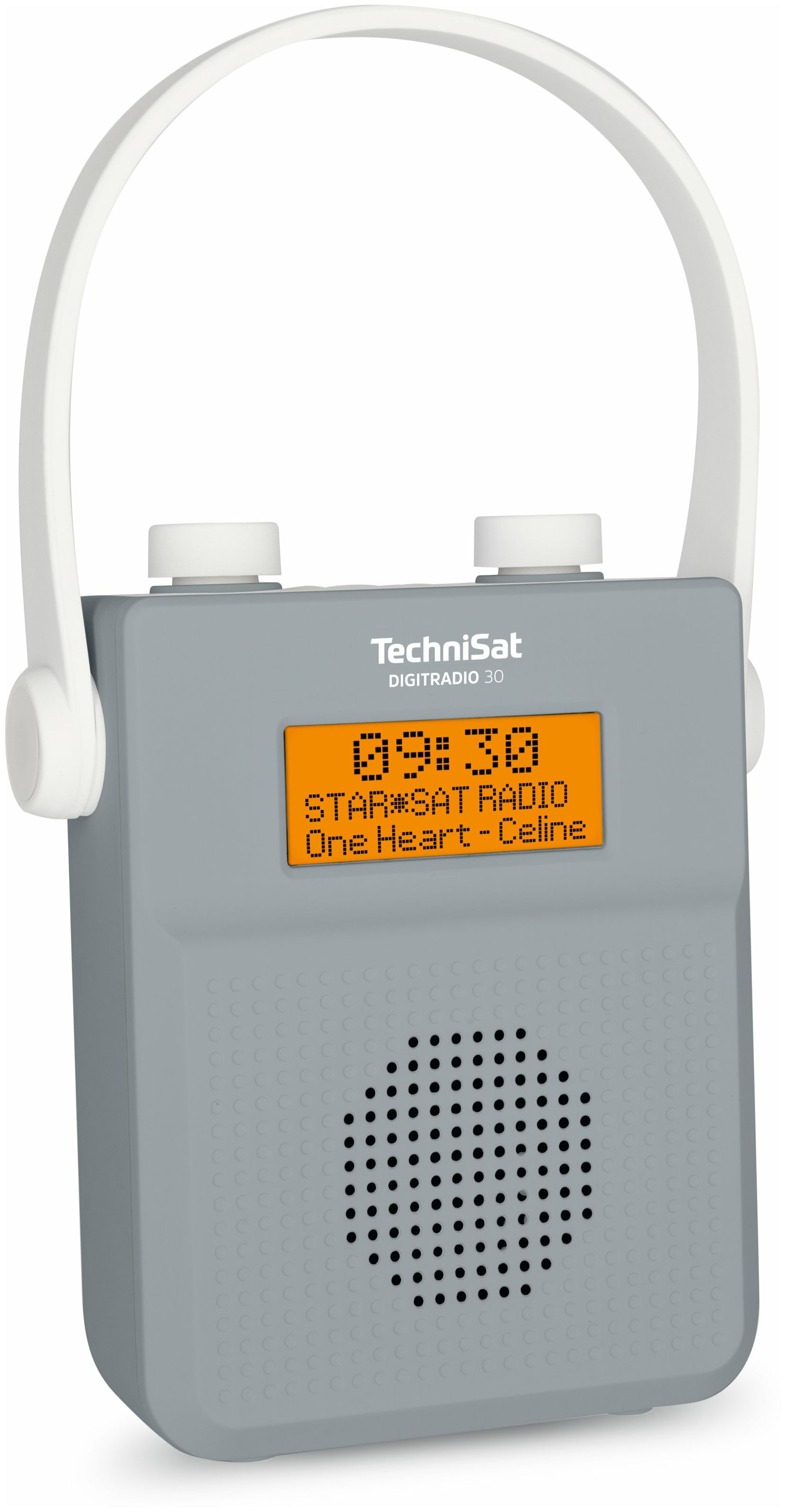 TechniSat Digitradio 30 Bluetooth von Tragbar (Grau) FM DAB+, IPX5 Radio Technomarkt expert